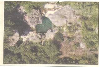 LOYSIOS 315